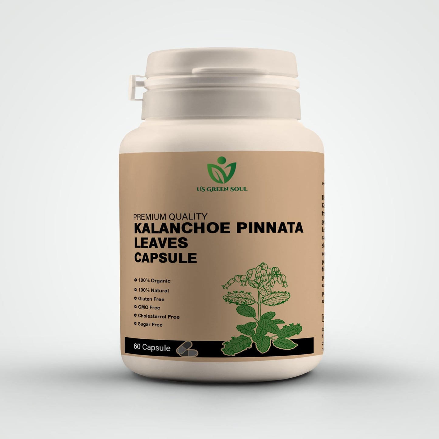 US GREEN SOUL Kalanchoe Pinnata Leaf Extract Capsules 60 Count