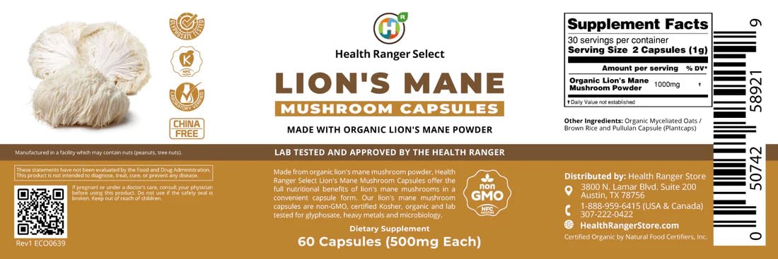 GROOVY BEE Lion's Mane Mushroom Capsules 60 Capsules