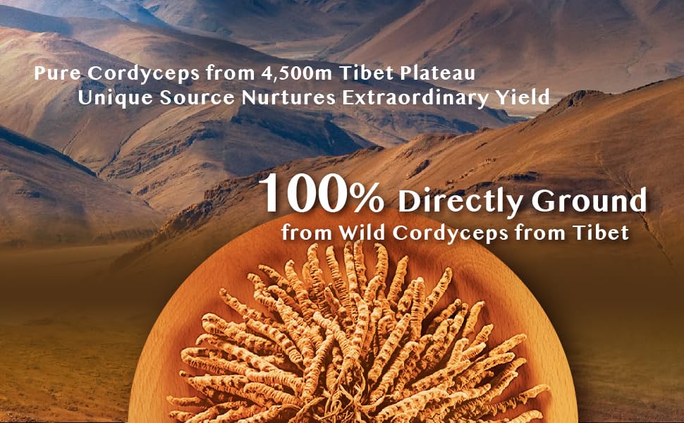 Wai Yuen Tong 100% Wild Tibetan Cordyceps Capsules, Ground from Raw Cordyceps, Energy, Lung & Immune Support, 24 Capsules