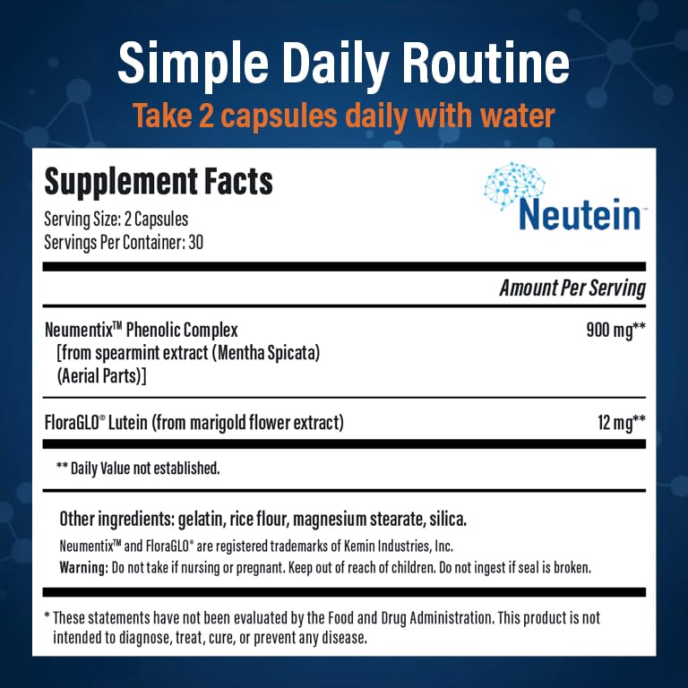 Neutein Brain Supplement for Memory and Focus, 240 Capsules