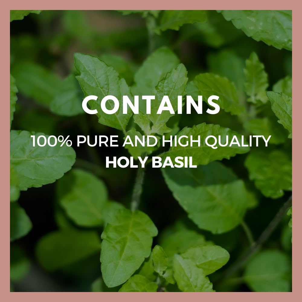 Remedy’s Nutrition Holy Basil 1000 mg Capsule, 60 Count