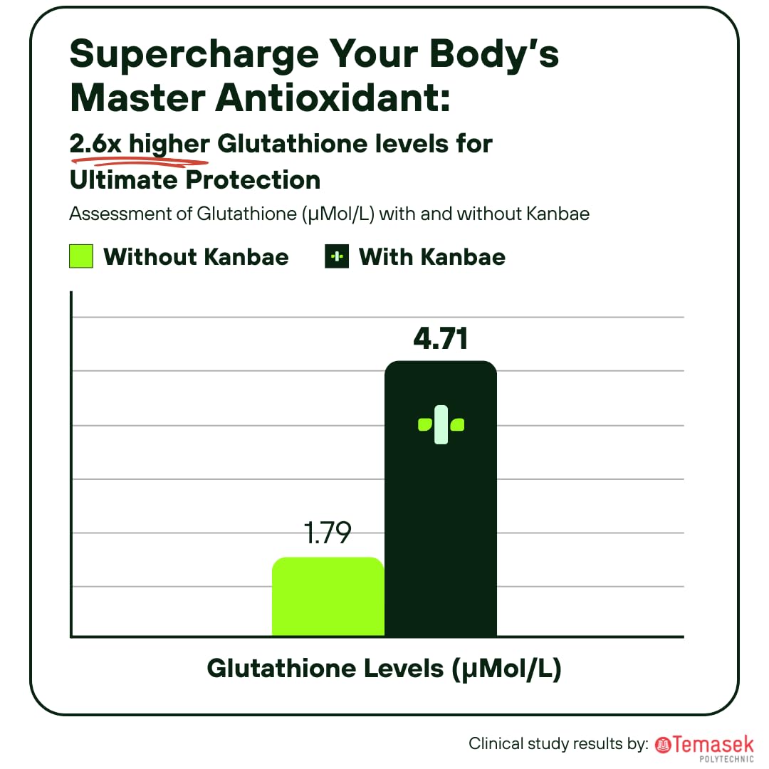 Kanbae Complete Alcohol Defense Capsule 12 Capsules