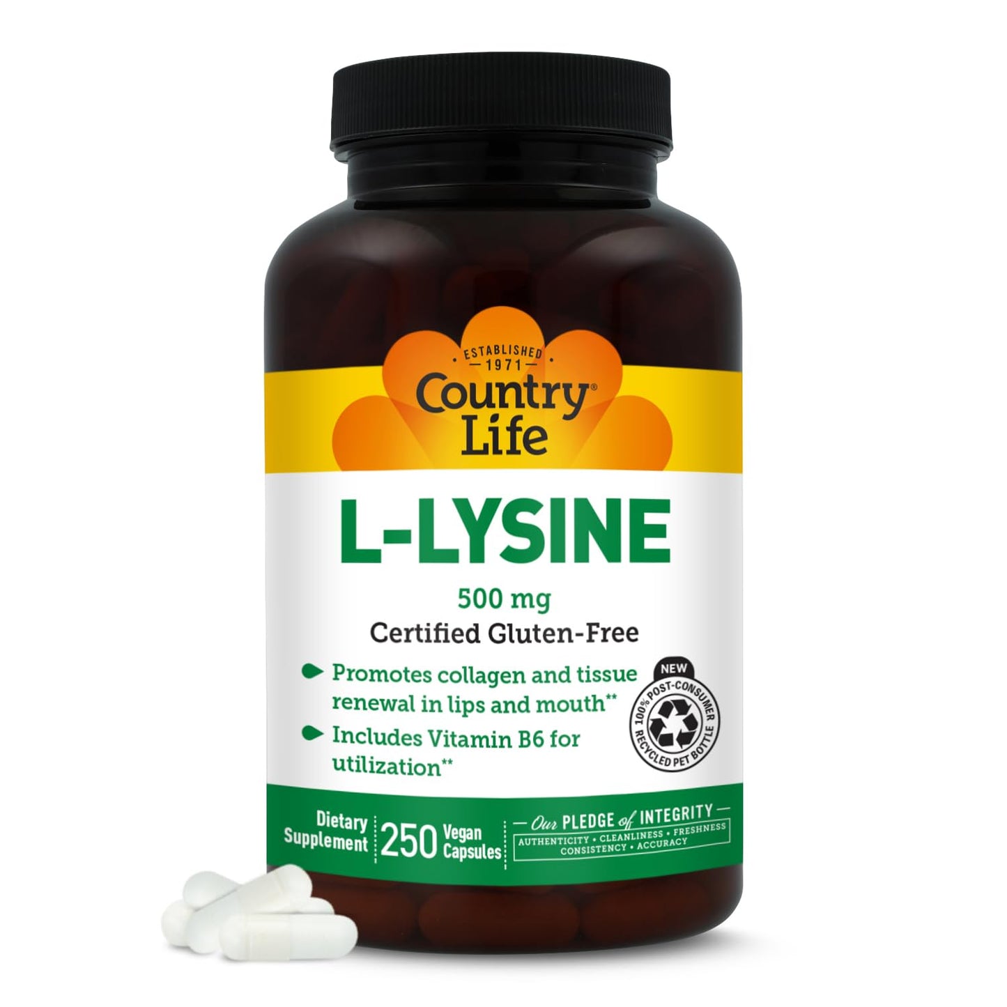 Country Life L-Lysine 500mg with B-6 250 Capsules