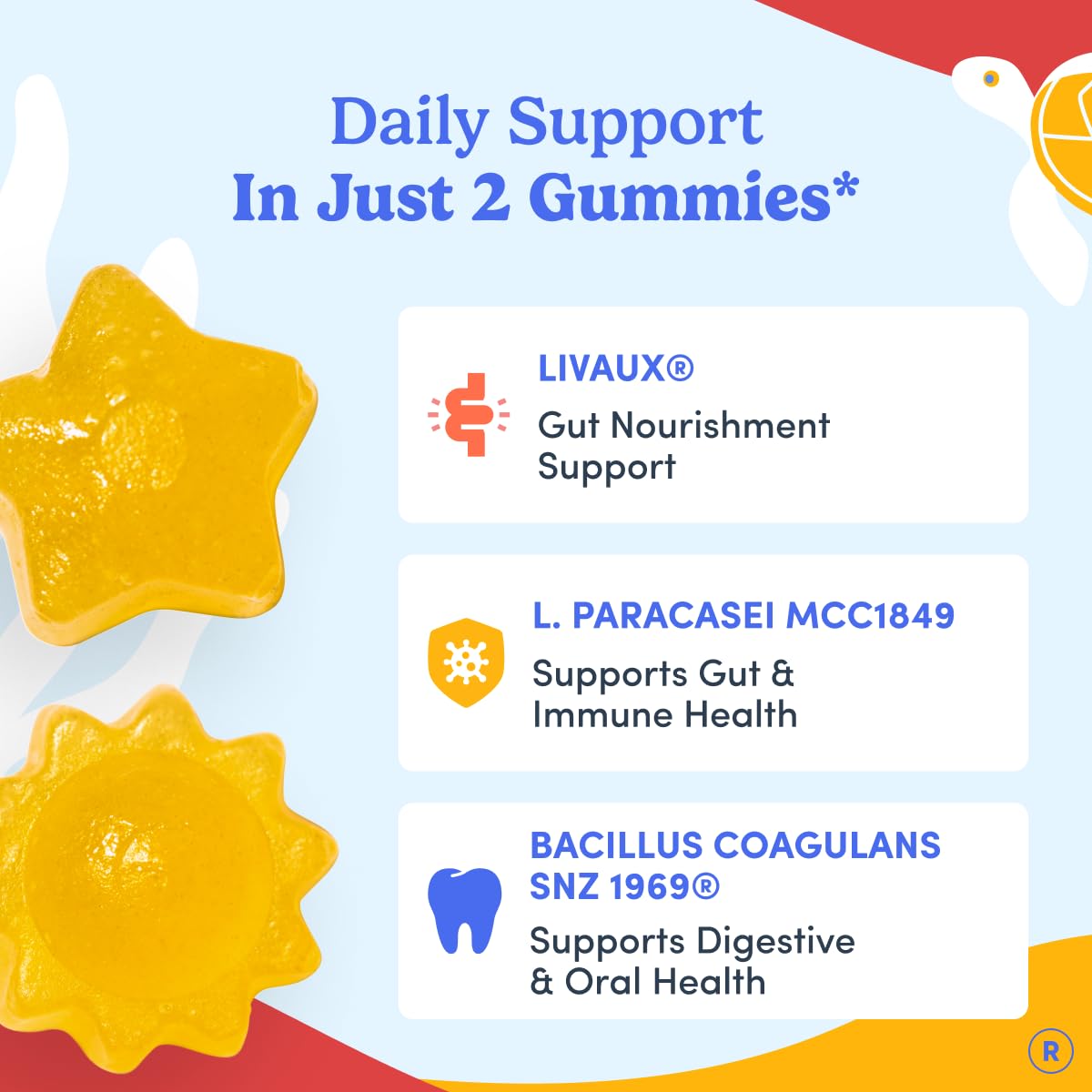 FIRST DAY Kids Probiotic Gummies 60 Count