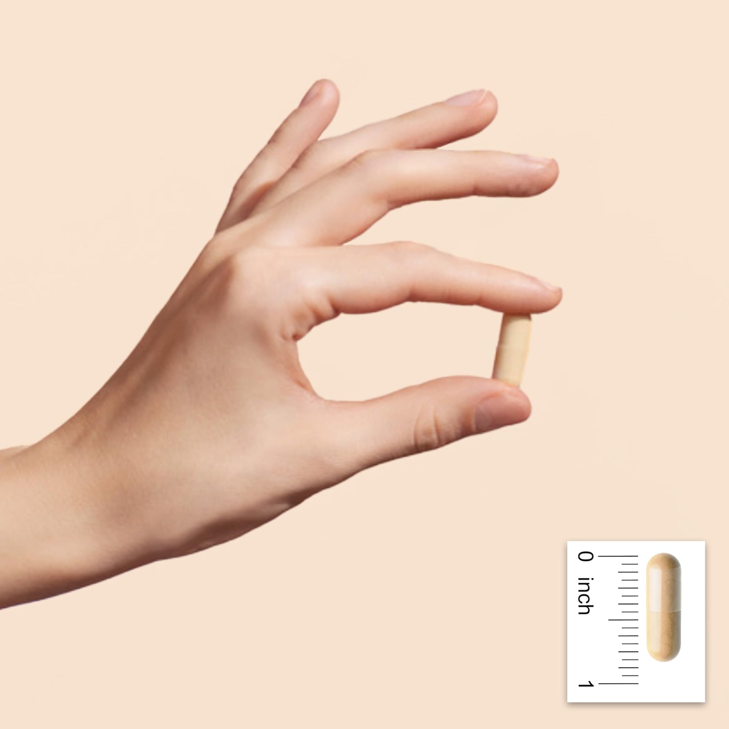CGMLABS Vitamin B Complex Capsule 120 Count