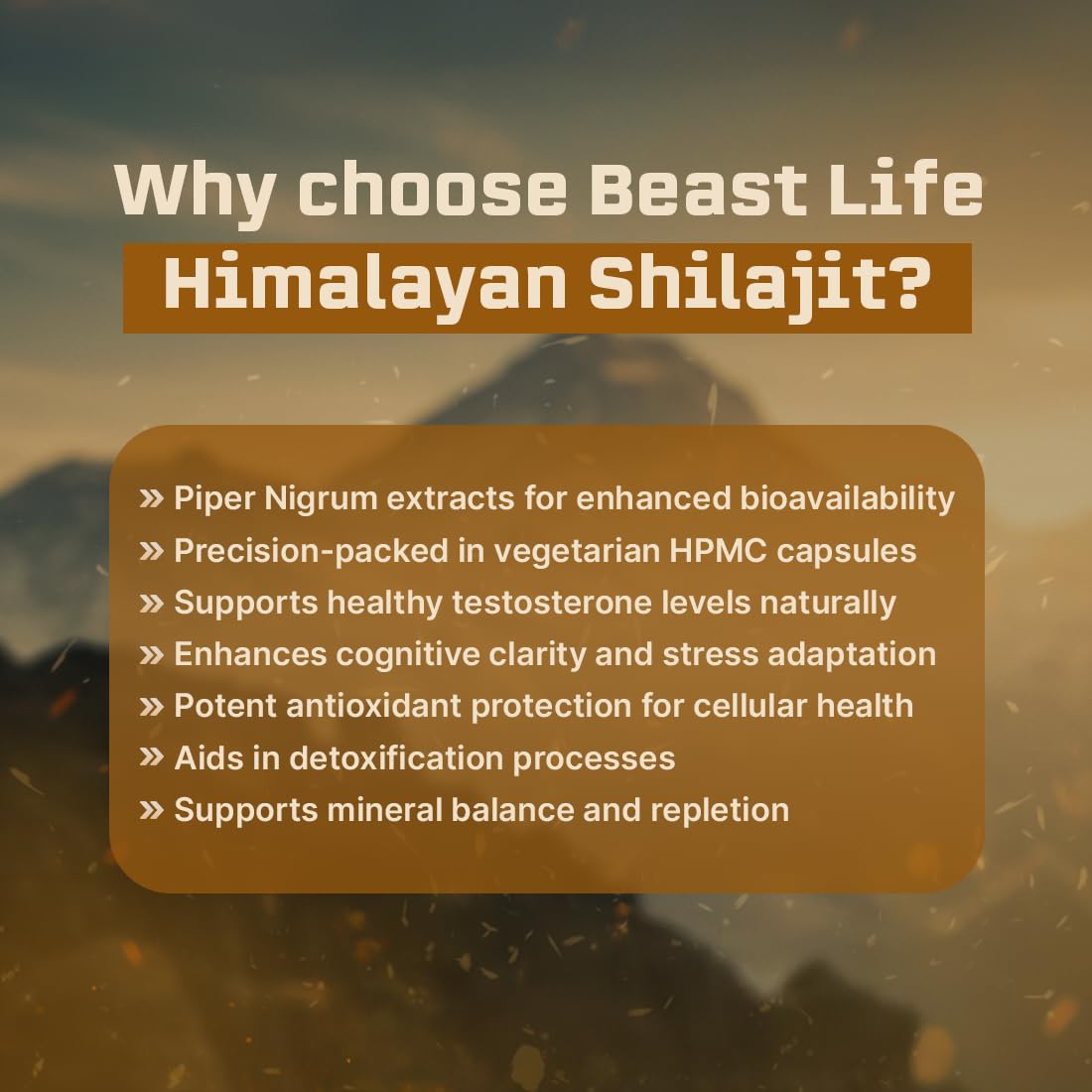 BEASTLIFE Himalayan Shilajit Capsules 60 Count