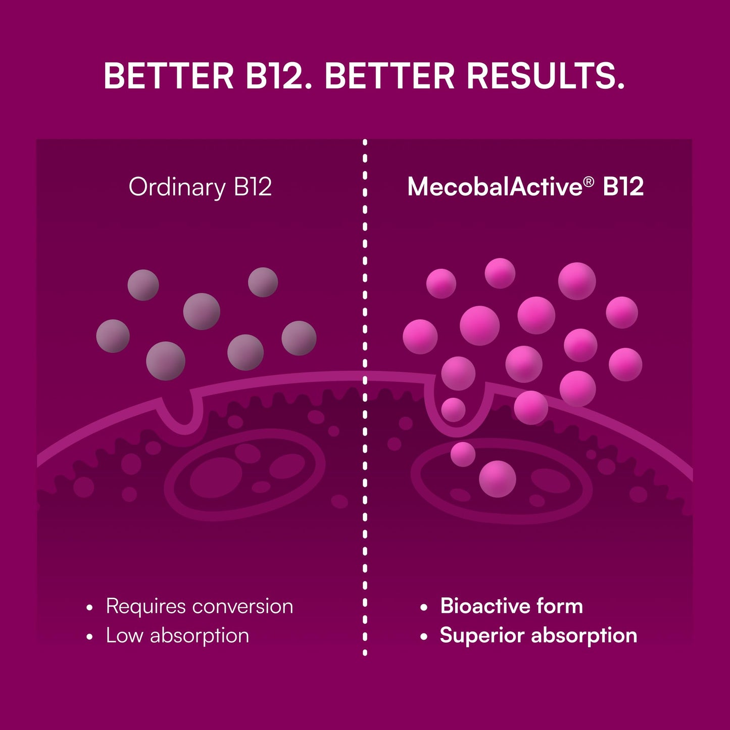 Purity Products MyVitamin B-12 ProClinical Melt Methylcobalamin B12 - High Absorption MecobalActive, 30 Tablets