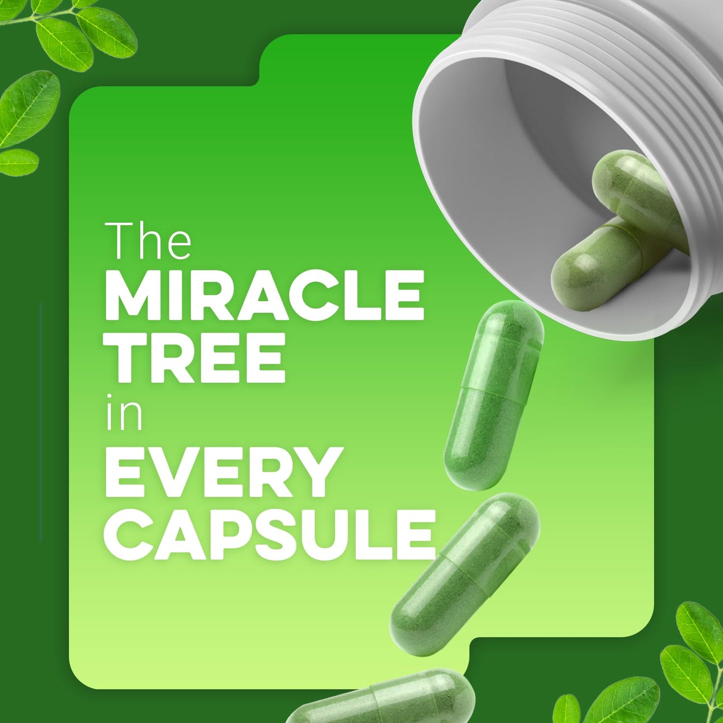 ESSNTLWELLNESS Moringa 800mg Capsules 90 Count