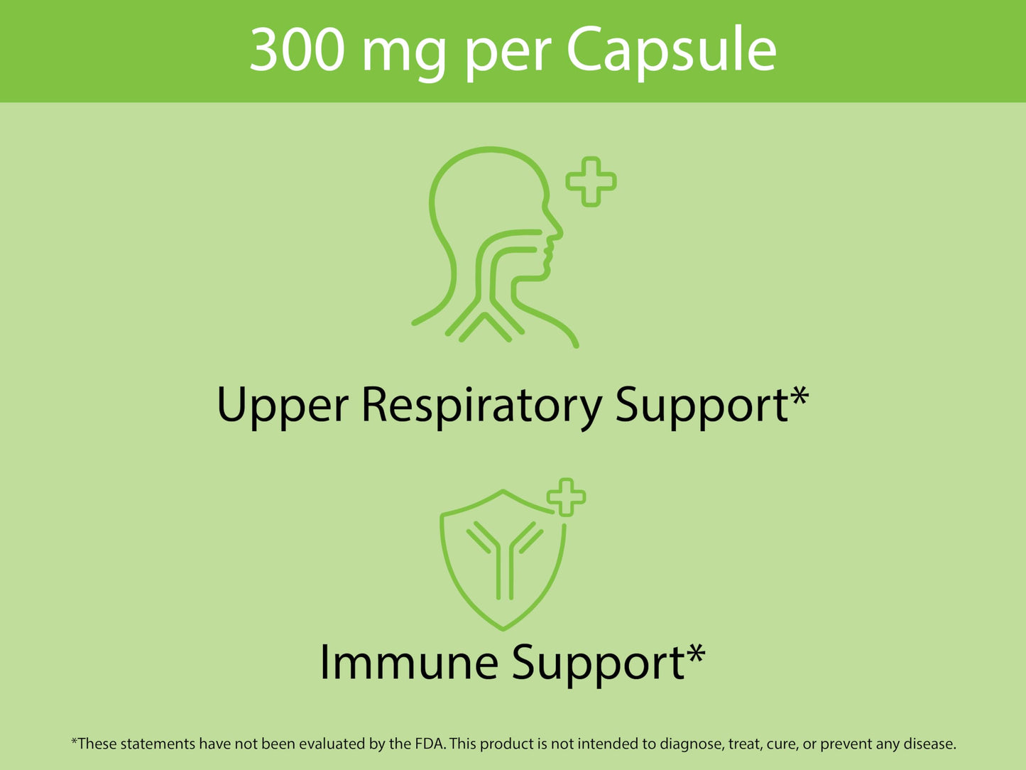 KOYAH Organic Stinging Nettle Leaf Capsules – Freeze-Dried Whole Leaf – 300 mg per Capsule – Upper Respiratory Support & Immune Support – 60 Capsules