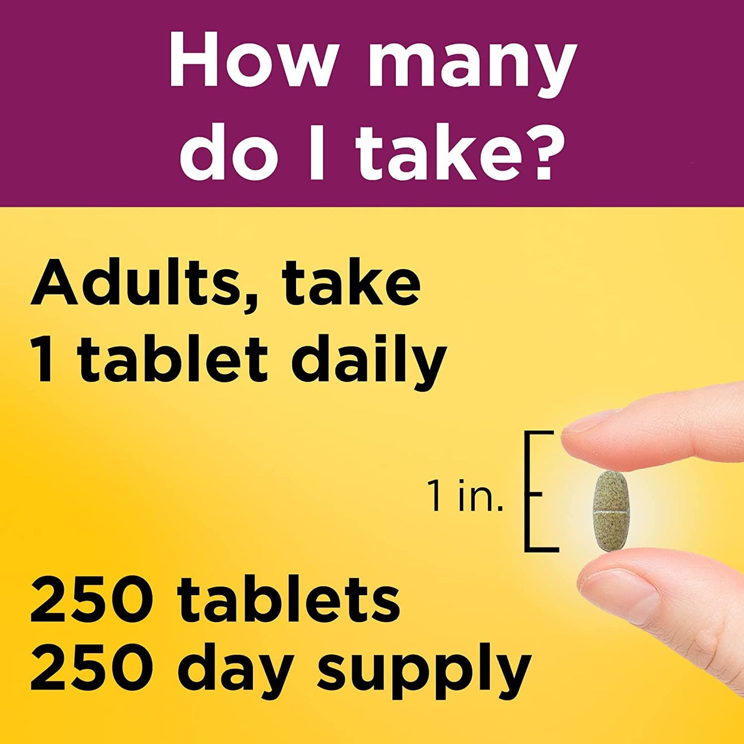 Nature Made Prenatal Vitamin Tablet 90 Count