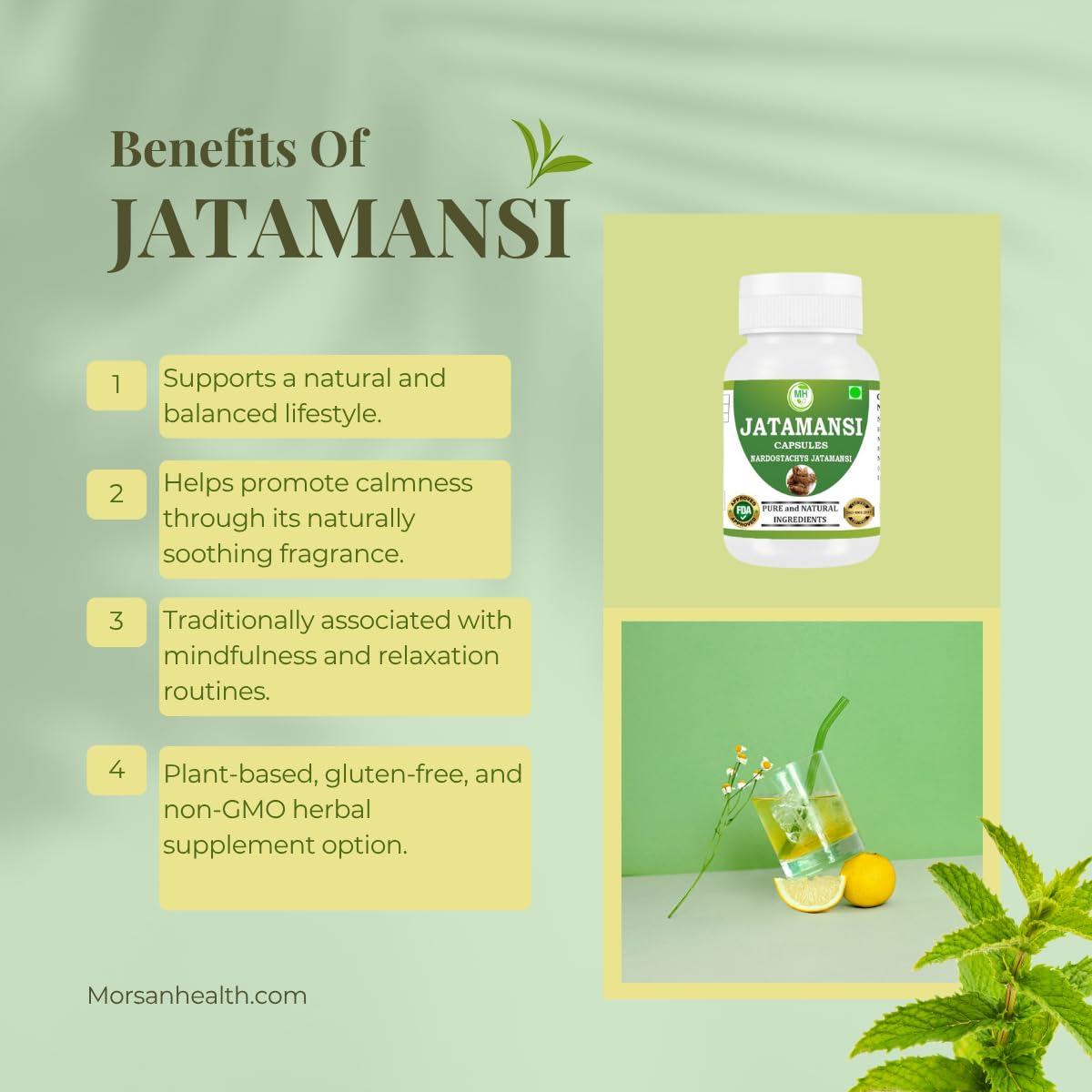Morsan Healthcare Jatamansi 500mg Capsules 120 Count