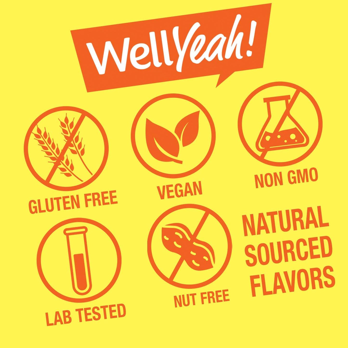 WellYeah Biotin 10,000 mcg Gummies, 60 Gummies
