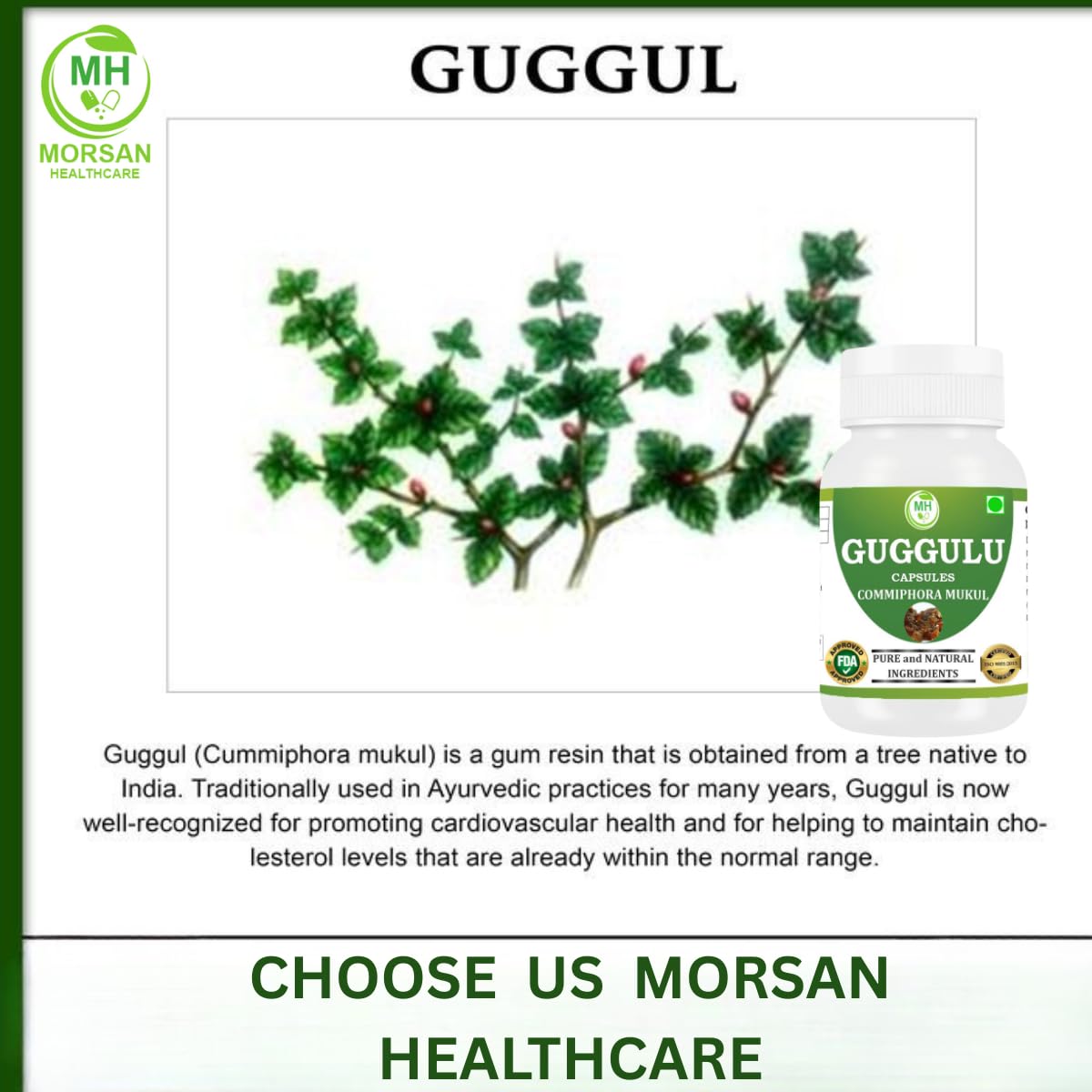 Morsan Healthcare Guggulu (Commiphora Mukul) Vegetarian Capsules, 240 Count