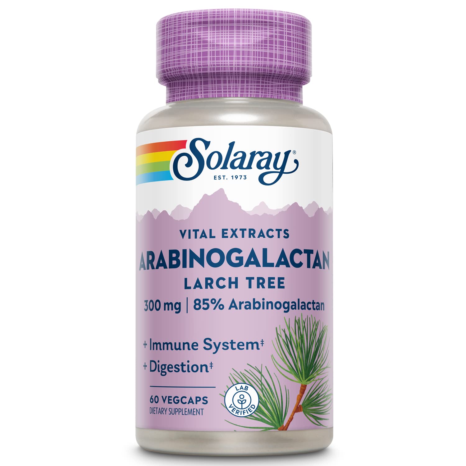 SOLARAY Arabinogalactan, Larch Tree Extract 300mg | Prebiotic Fiber for Healthy Gut & Immune System Support, 60 Capsules