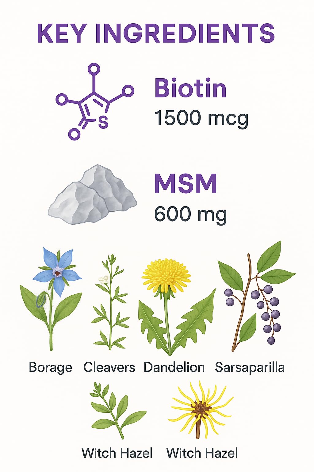 Vita4Life Biotin 2000mcg + MSM Hair Growth Vitamins for Women & Men Capsules, 60 Count