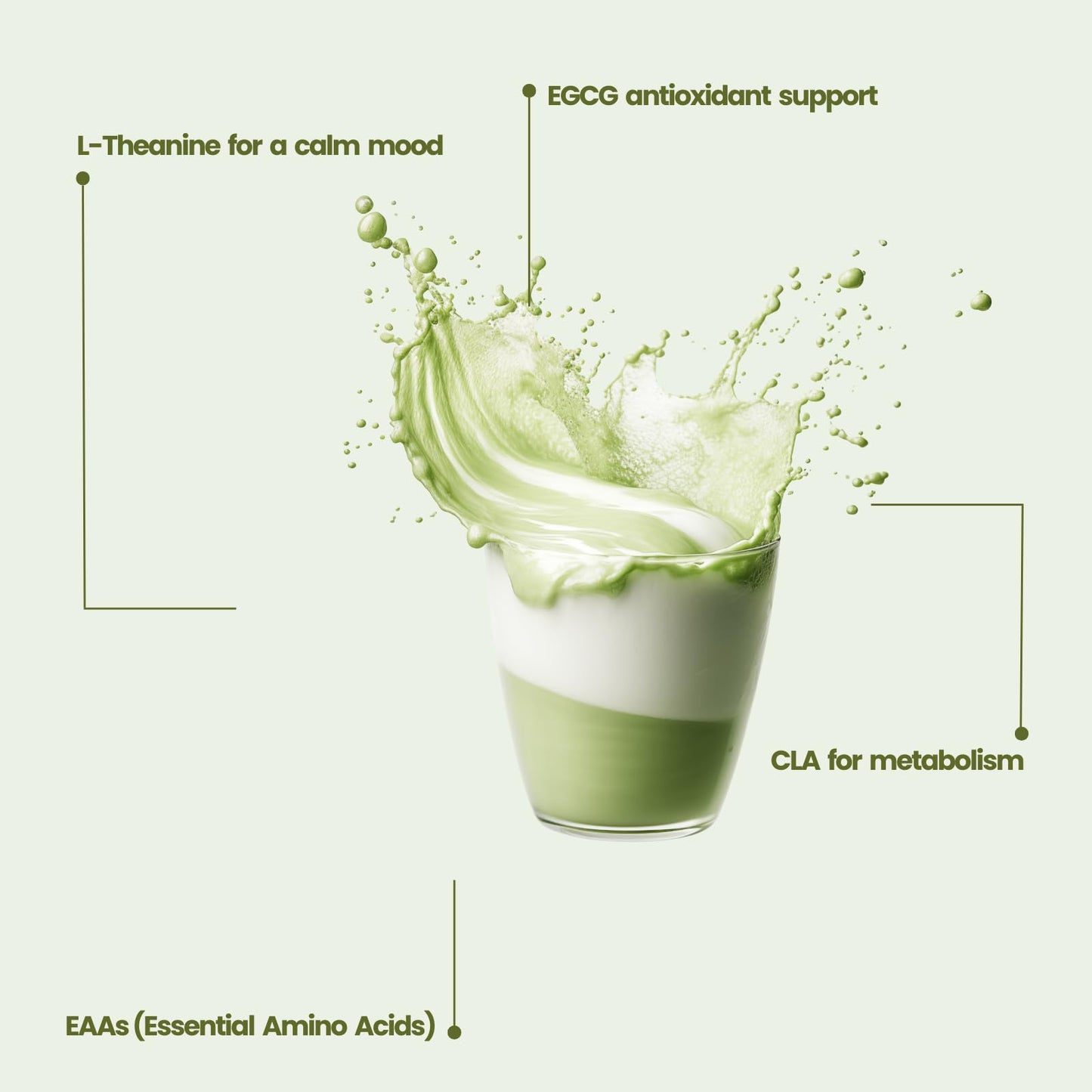 Icon Muscle Opto Iso Matcha Latte Whey Isolate Powder, 16 Servings, 1 lb