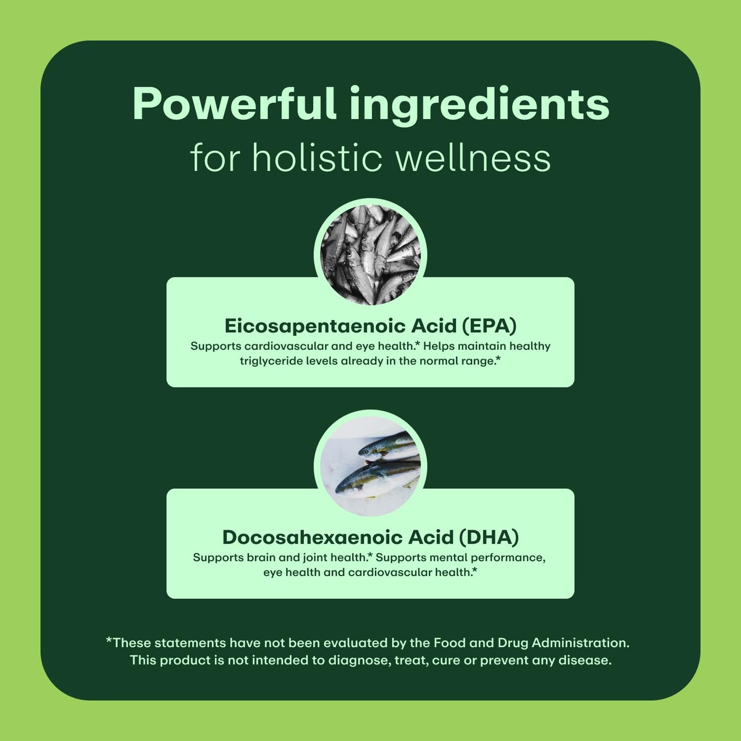 WellWithAll Omega-3 Fish Oil Supplement 60 Capsules