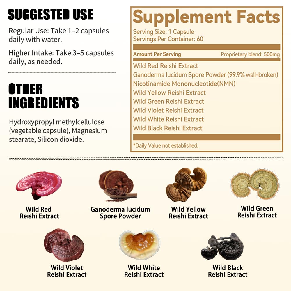 NOTO Master Reishi Mushroom Lingzhi Supplement Spore Capsule, 1 Capsule