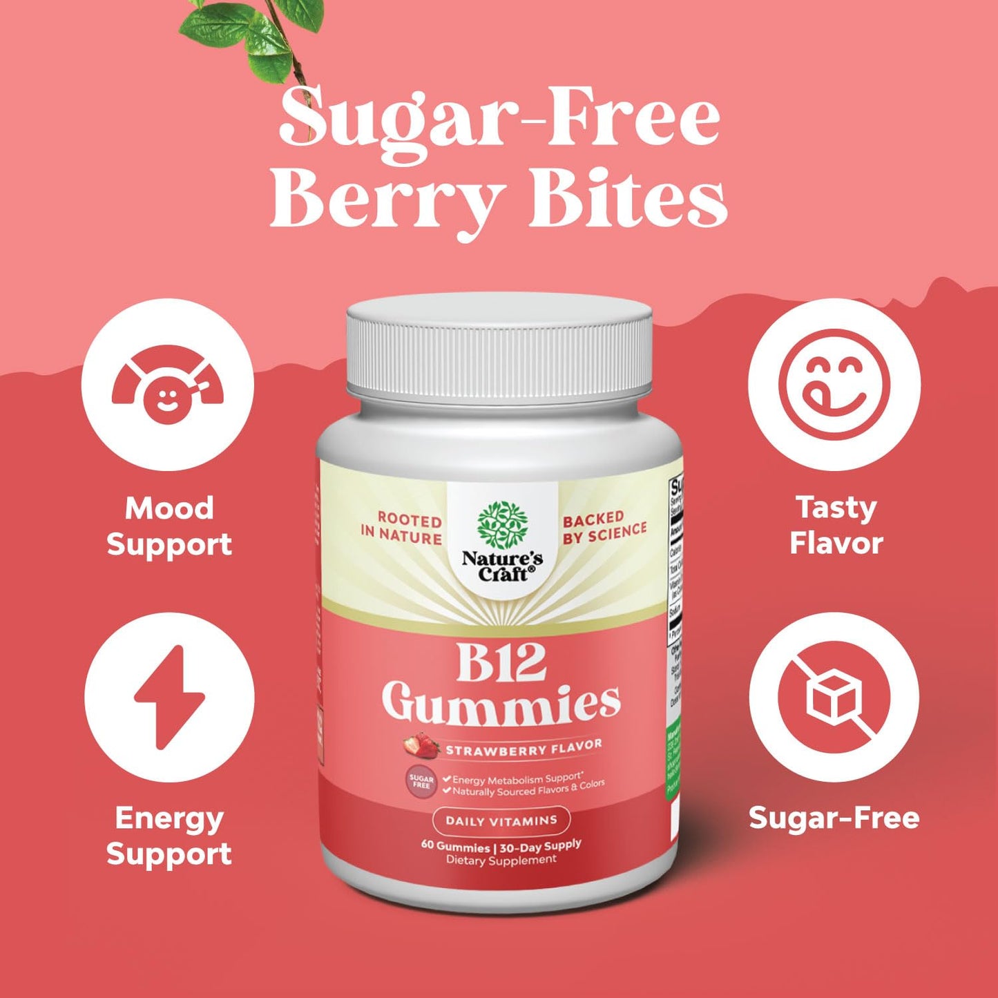 Natures Craft Vitamin B12 Gummies Sugar Free 1000mcg, 60 Count
