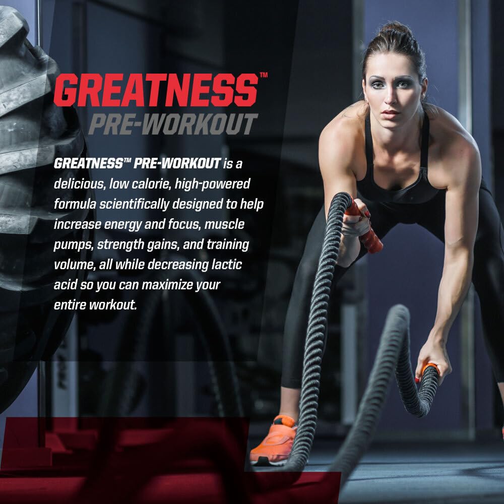 Undefined Nutrition Greatness Pre-Workout Powder 15.9 oz