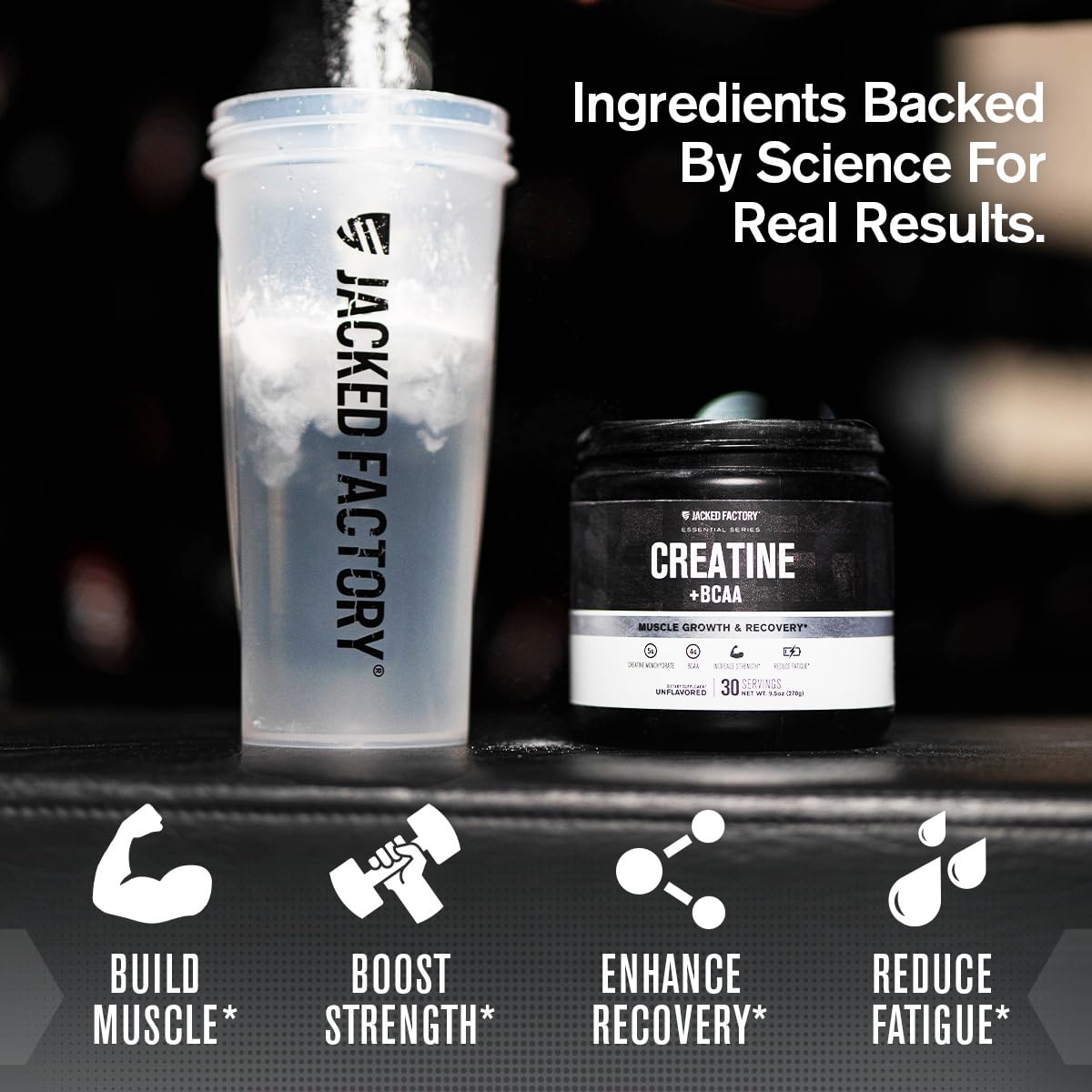 Jacked Factory Creatine Monohydrate + BCAA Powder, 30 Servings