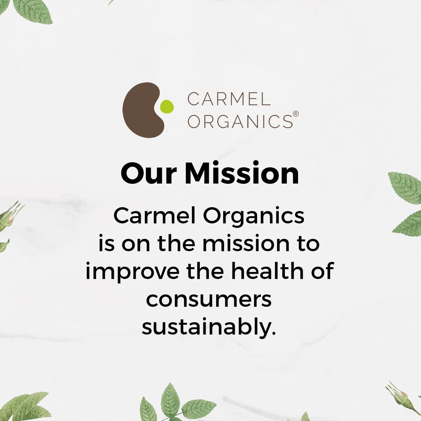 CARMEL ORGANICS Amla/Amlaki (Emblica officinalis) Fruit Powder, 8 oz