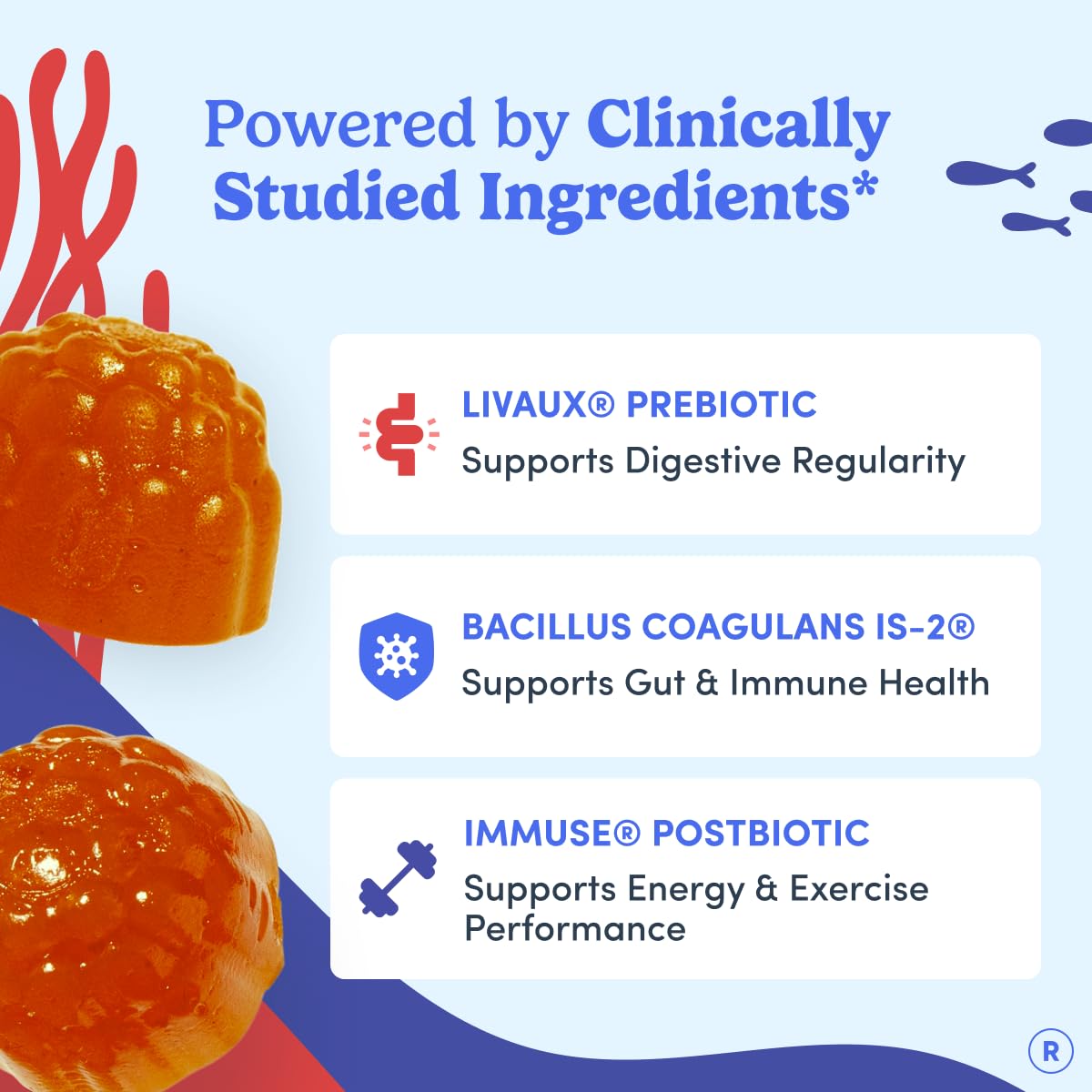 FIRST DAY 3-in-1 Probiotics for Men Gummy 60 Count