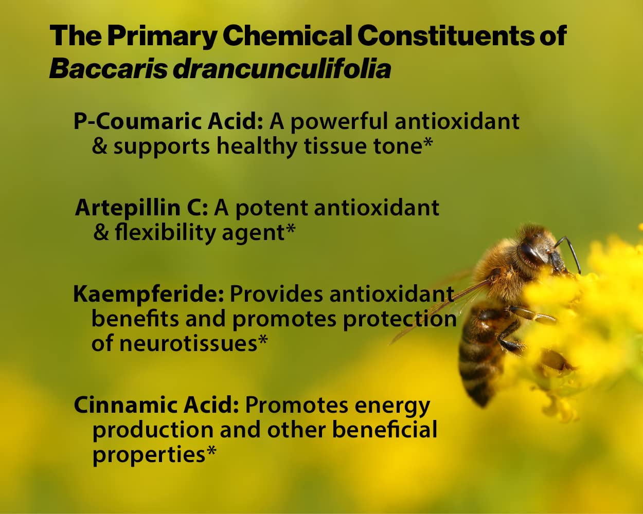 Essential Formulas Dr. Ohhira's Propolis Plus with Brazilian Green Propolis Capsule 120