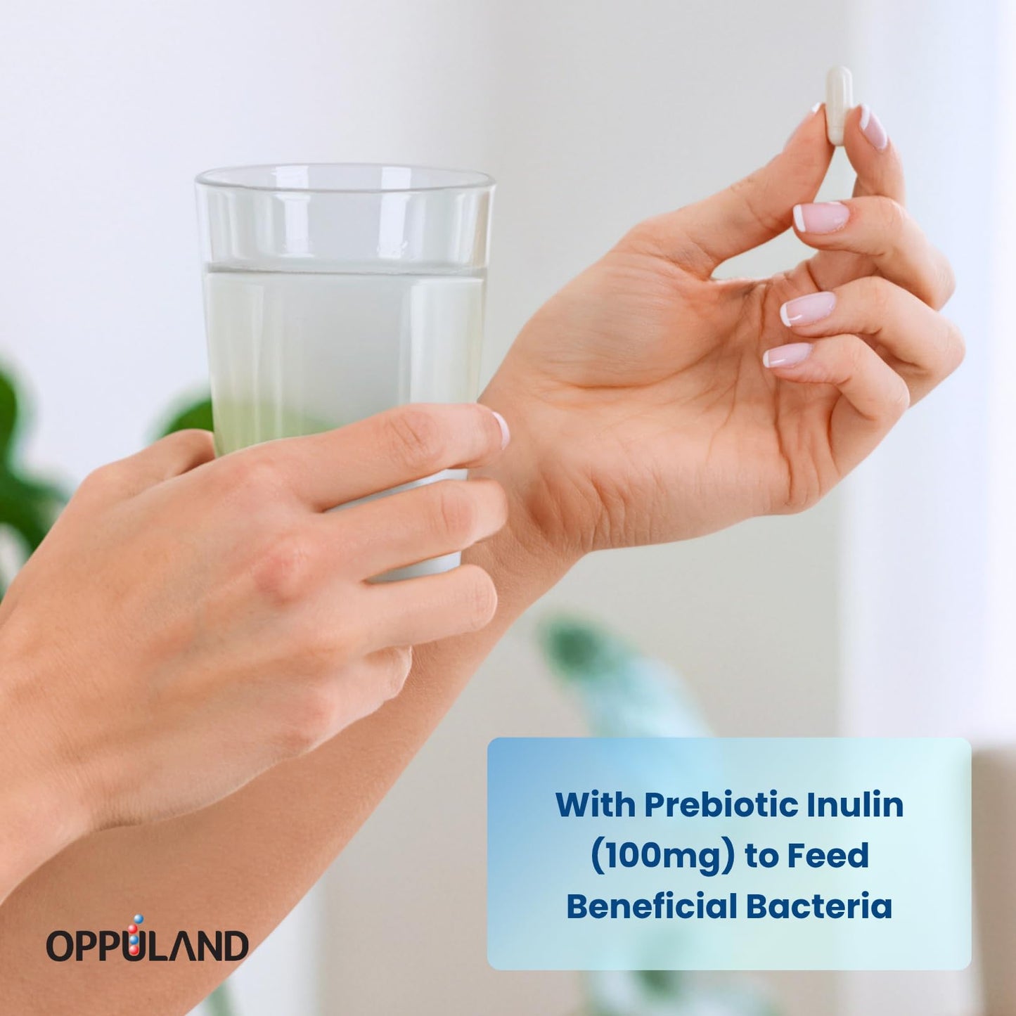 oppuland AKK Pro Akkermansia Muciniphila Probiotic Supplement 60 Capsules