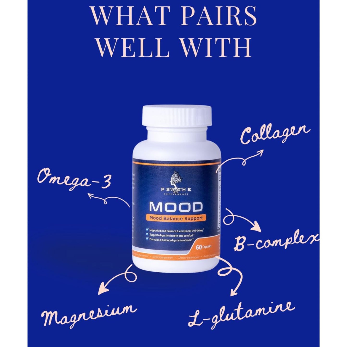 Psyche Supplements Mood Balance Support Supplement Capsule 60 Capsules