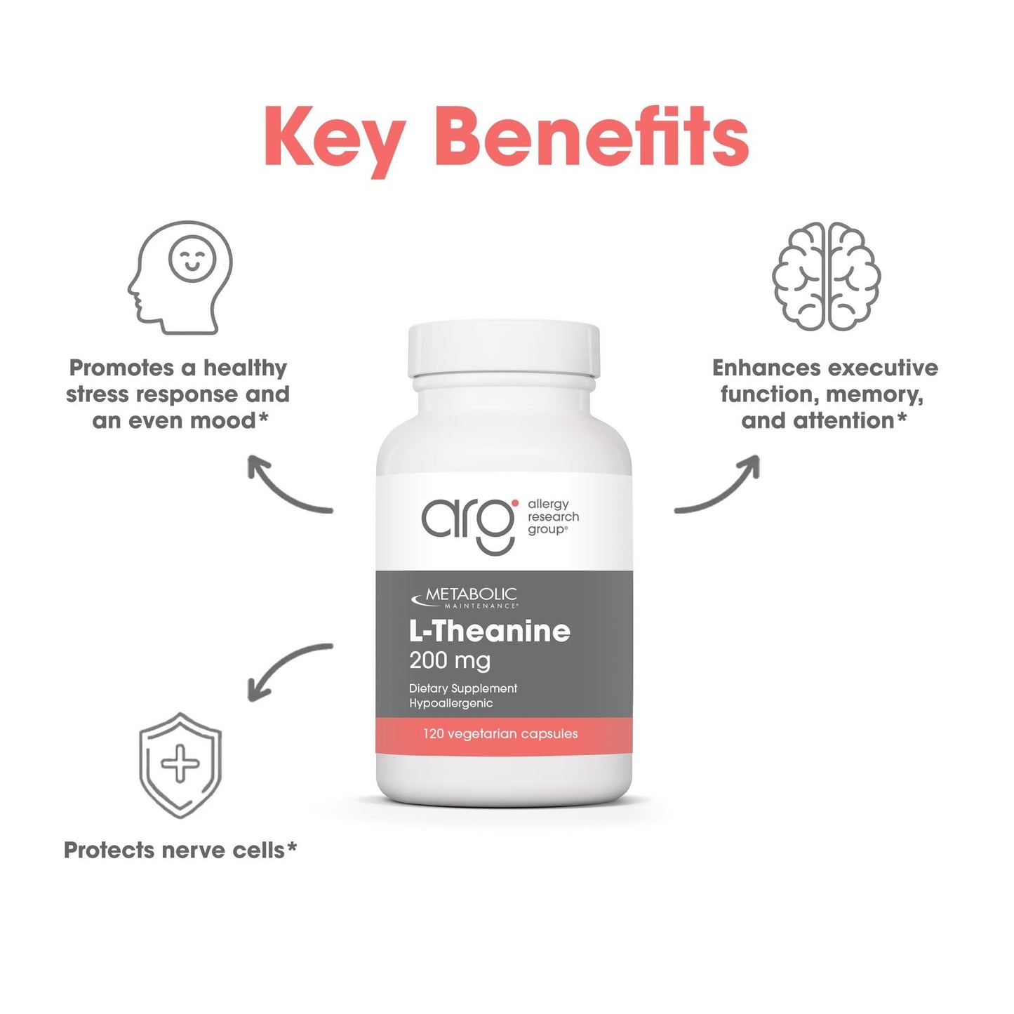 Metabolic Maintenance L-Theanine 200mg with Glycine Capsule 120 Count