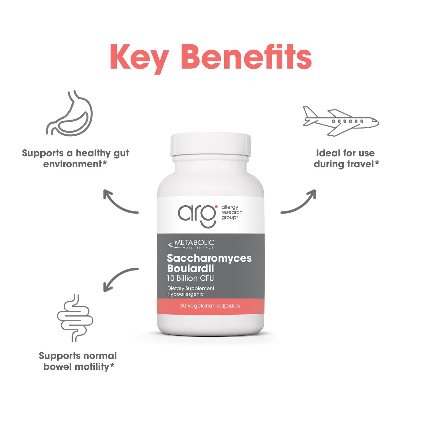 Metabolic Maintenance Saccharomyces boulardii Probiotics - 10 Billion CFU, Capsule, 60 Count