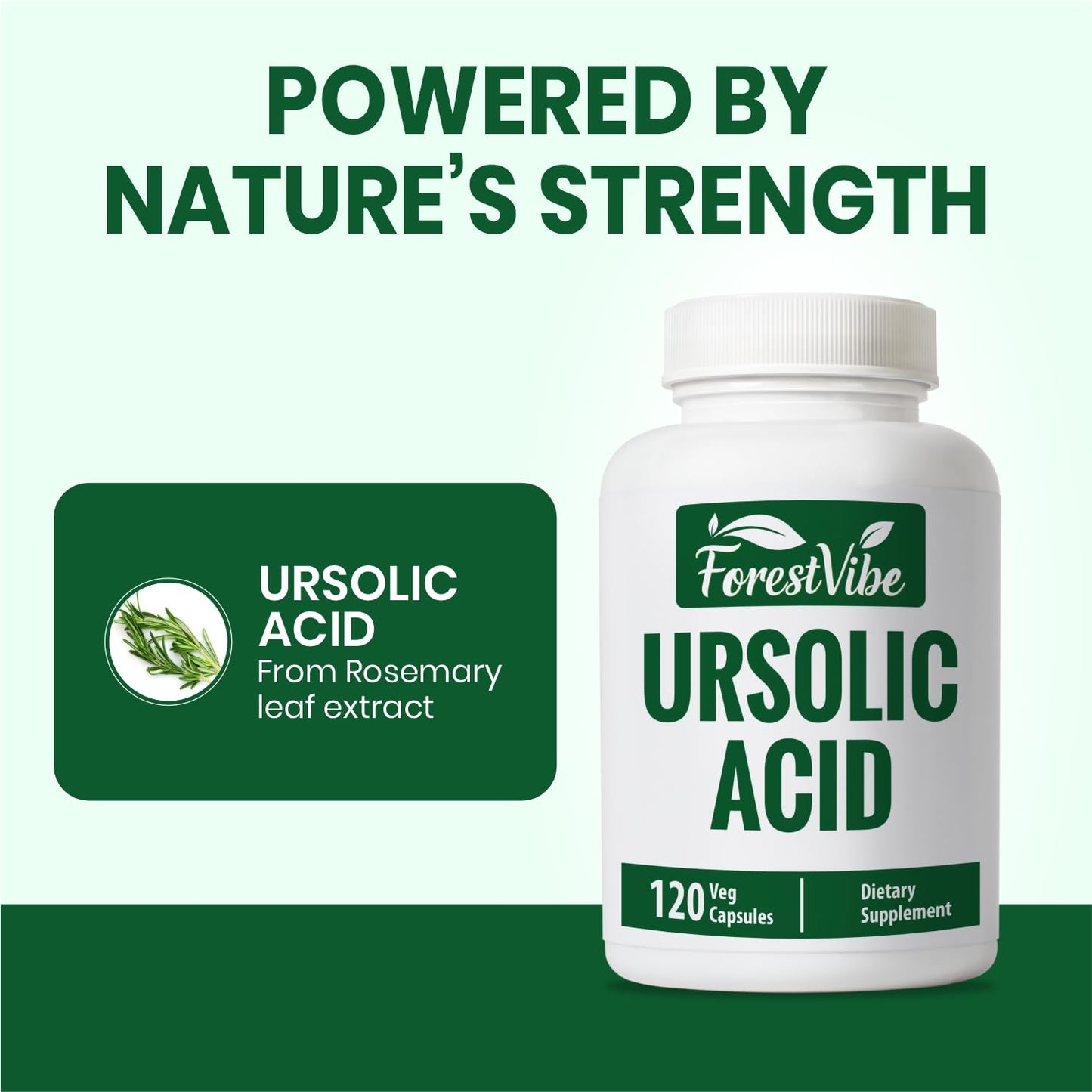 ForestVibe Ursolic Acid Supplement 300mg Vegan Capsules, 120 Capsules