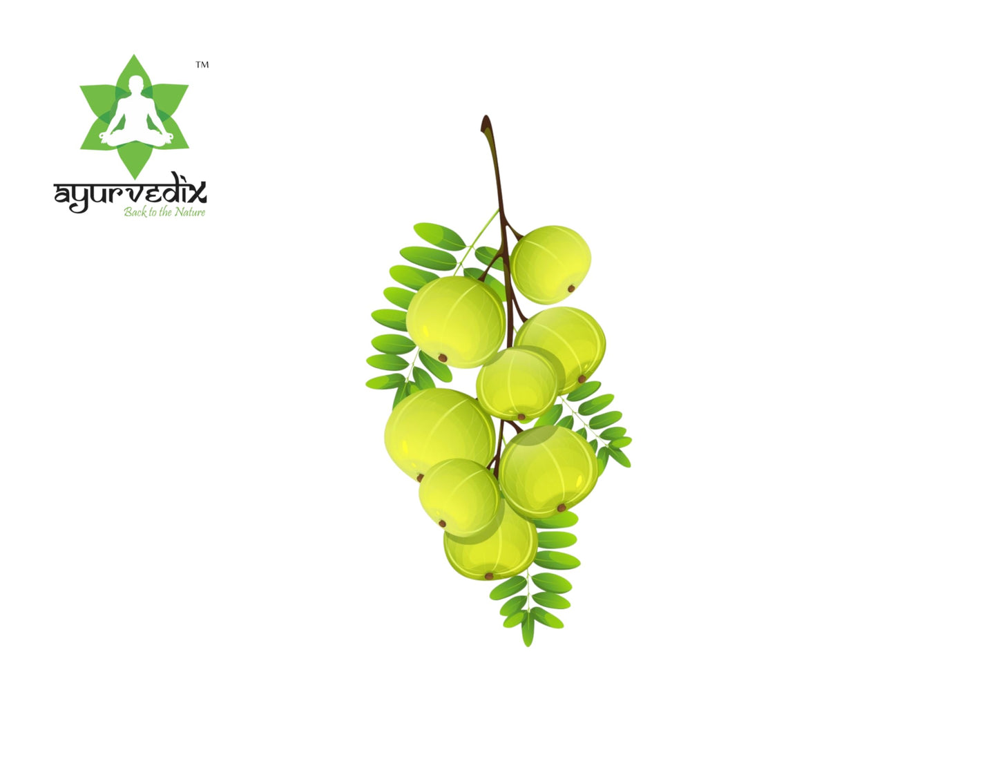 Ayurvedix Amla Powder Powder 1