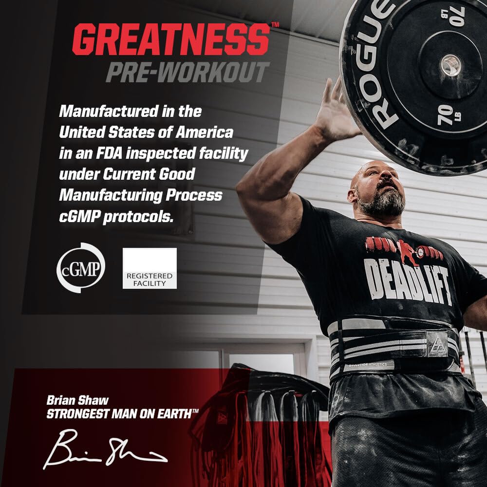 Undefined Nutrition Greatness Pre-Workout Powder 15.9 oz