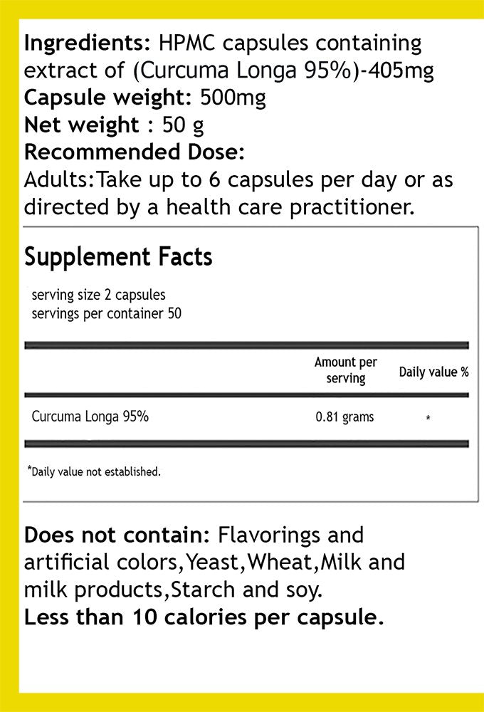 Hekma Center Turmeric Curcumin - Extract of Curuma Longa 500 mg, 100 Capsules