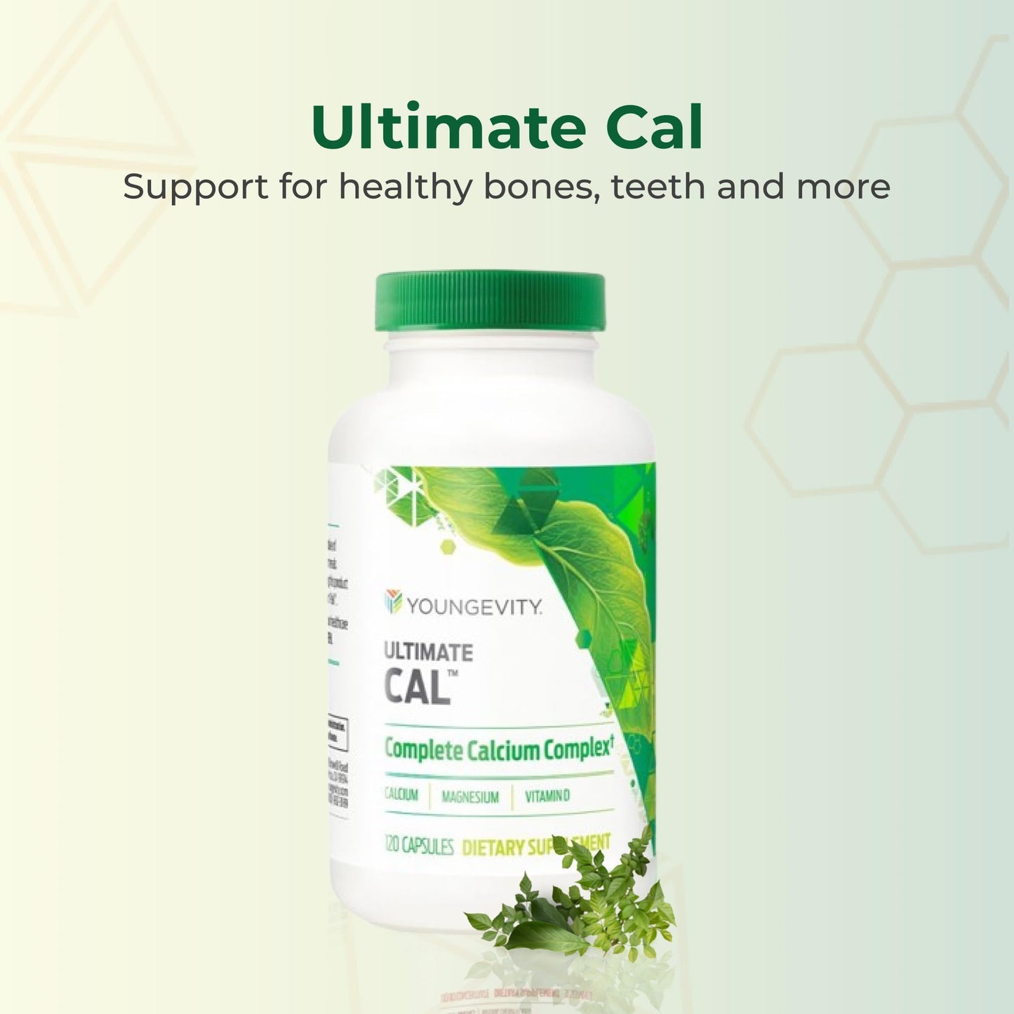 Youngevity Ultimate Cal Calcium Magnesium Bone Health Supplement Capsule 120 Count