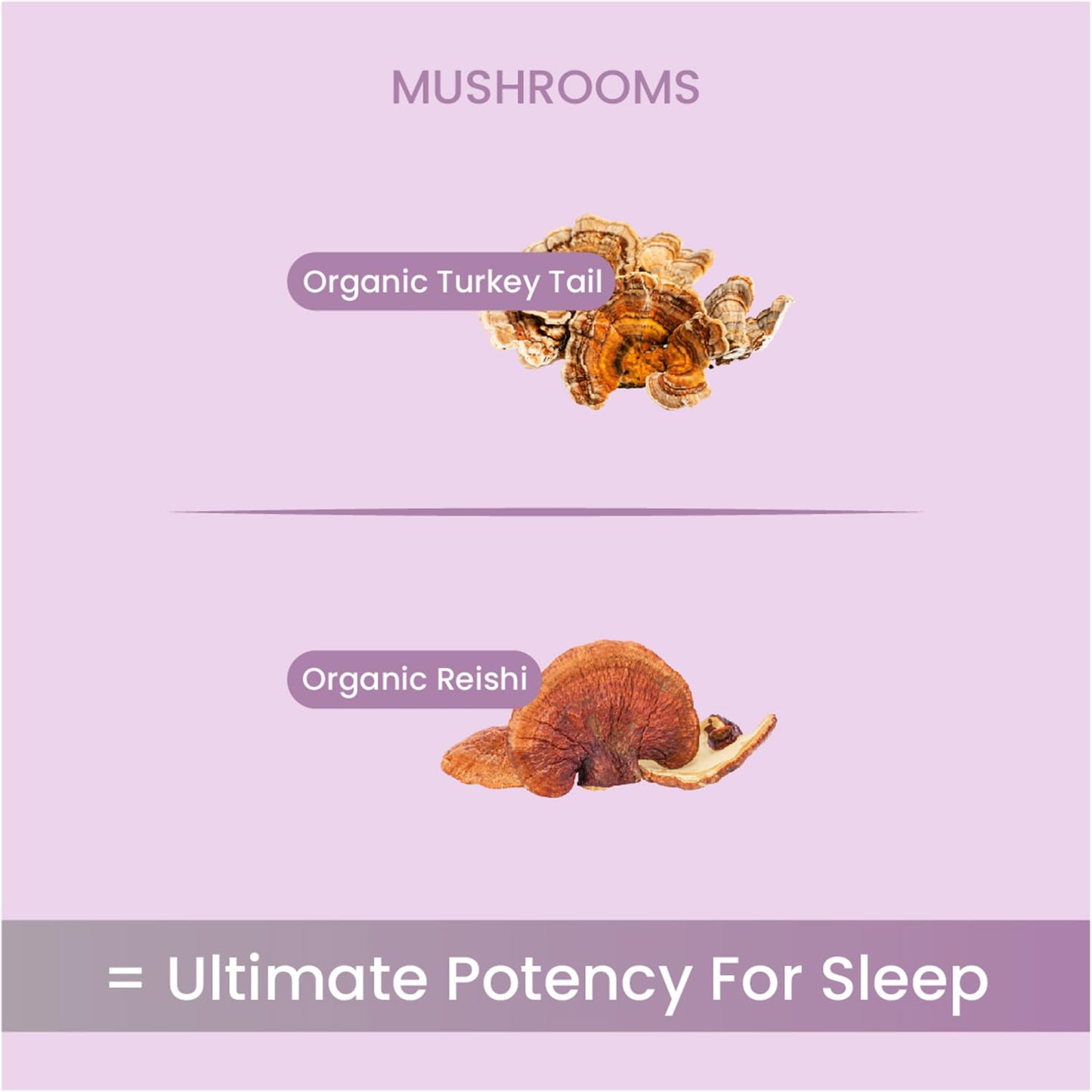 Non Fungible Mushrooms SLEEP Mushroom Powder 2.12 oz