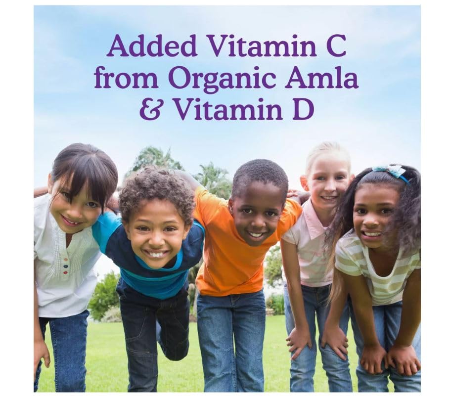 Garden of Life Dr. Formulated Kids Organic Probiotic Chewables, Berry & Cherry Flavor, 5 Billion CFU, 30 Count