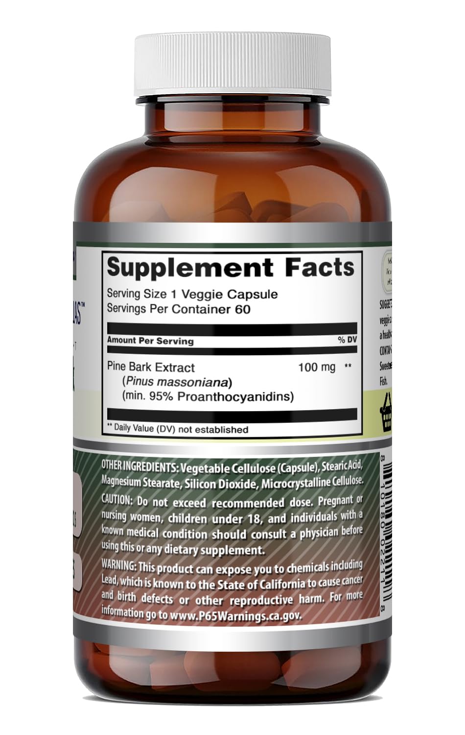 Amazing Nutrition Pine Bark Extract 100 mg Capsule 60 Count