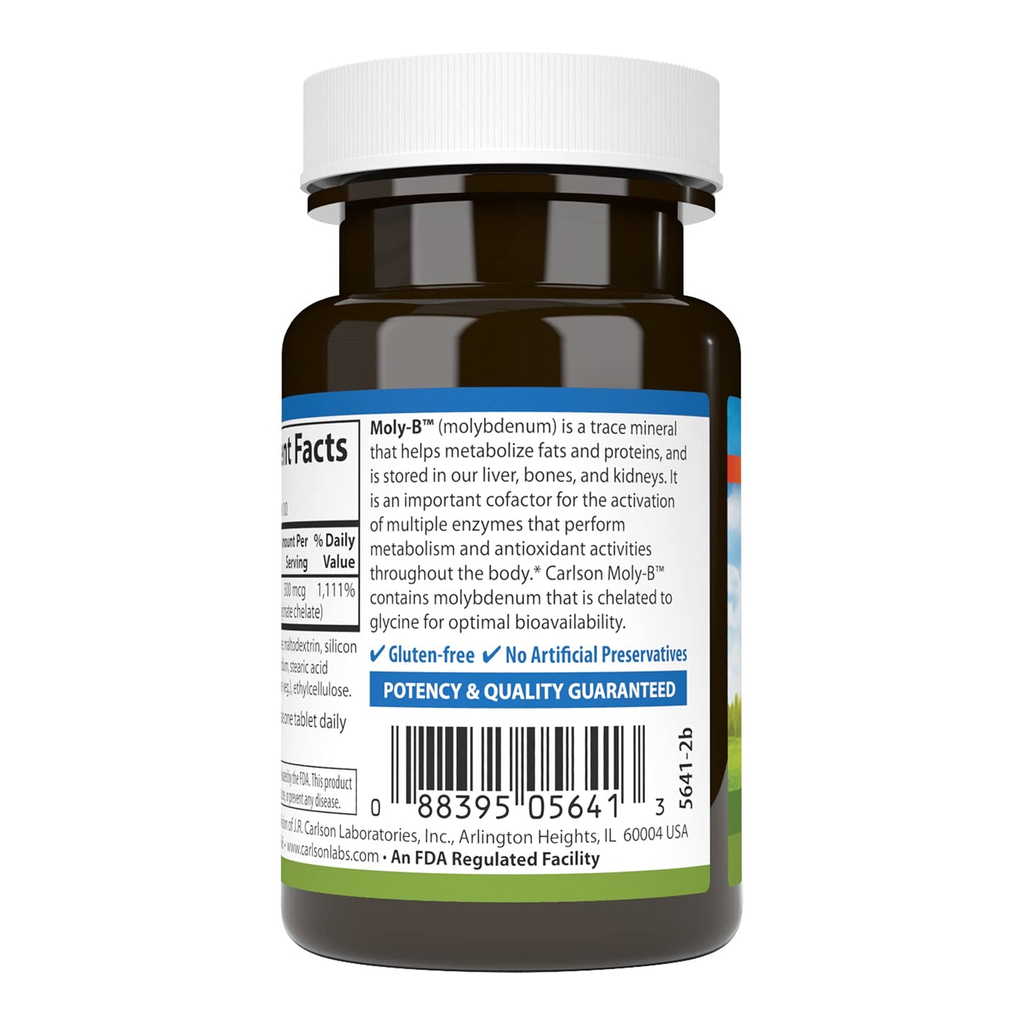 Carlson Moly-B Chelated Molybdenum Metabolism Support and Enzyme Activation Tablet, 100 Tablets