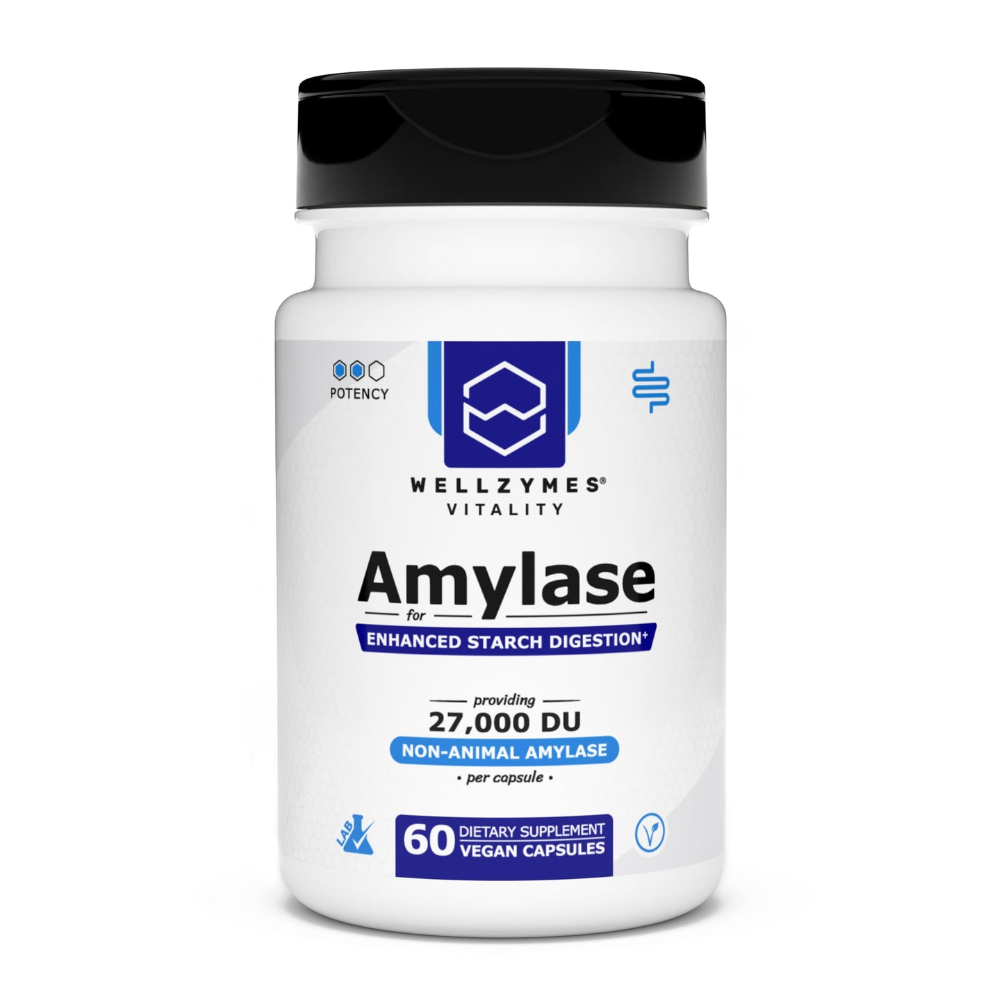 Wellzymes Amylase for Enhanced Starch Digestion Capsules, 60 Count