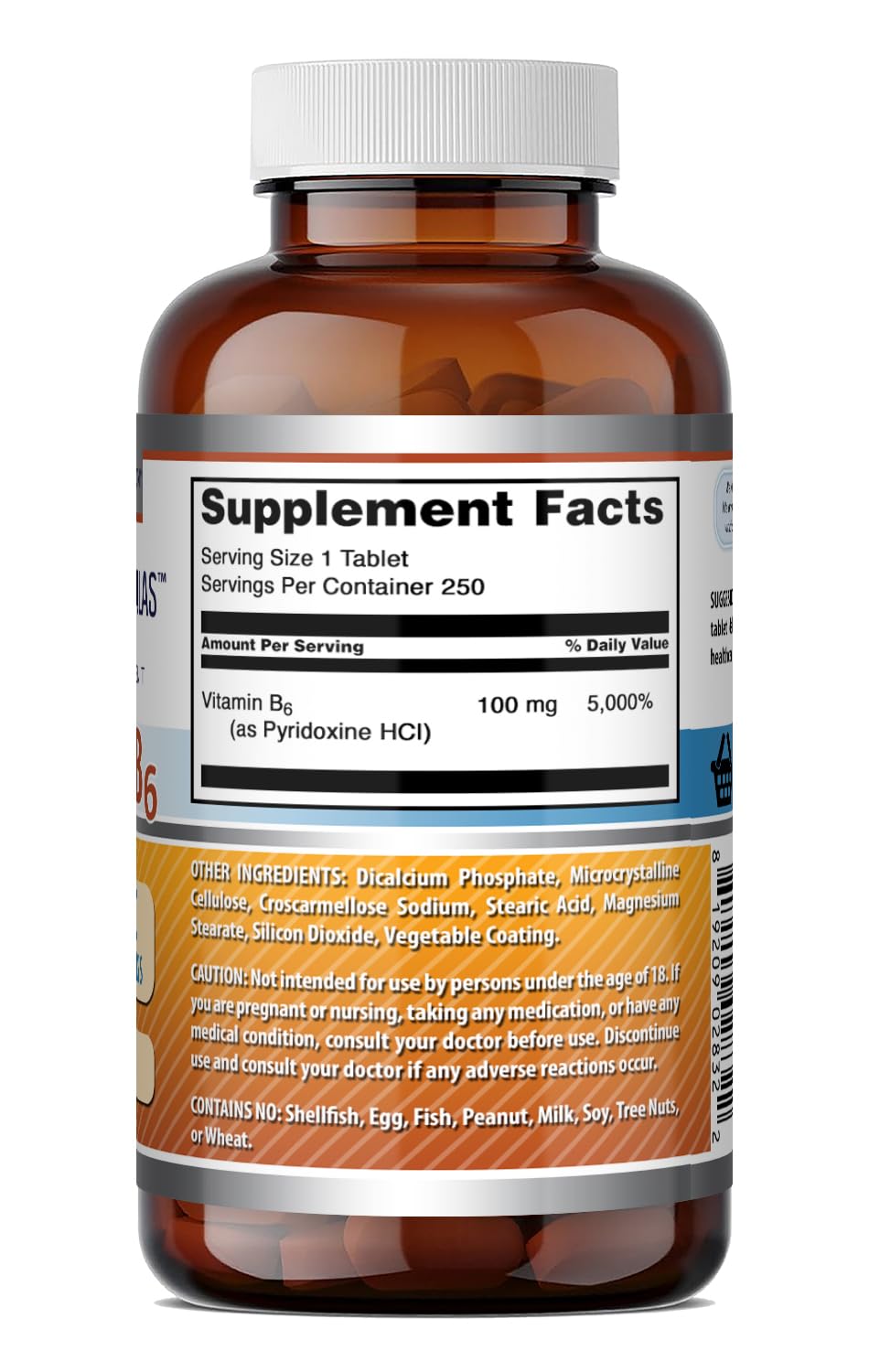 Amazing Nutrition Vitamin B6 Supplement Tablets (100 mg per serving), 250 Tablets