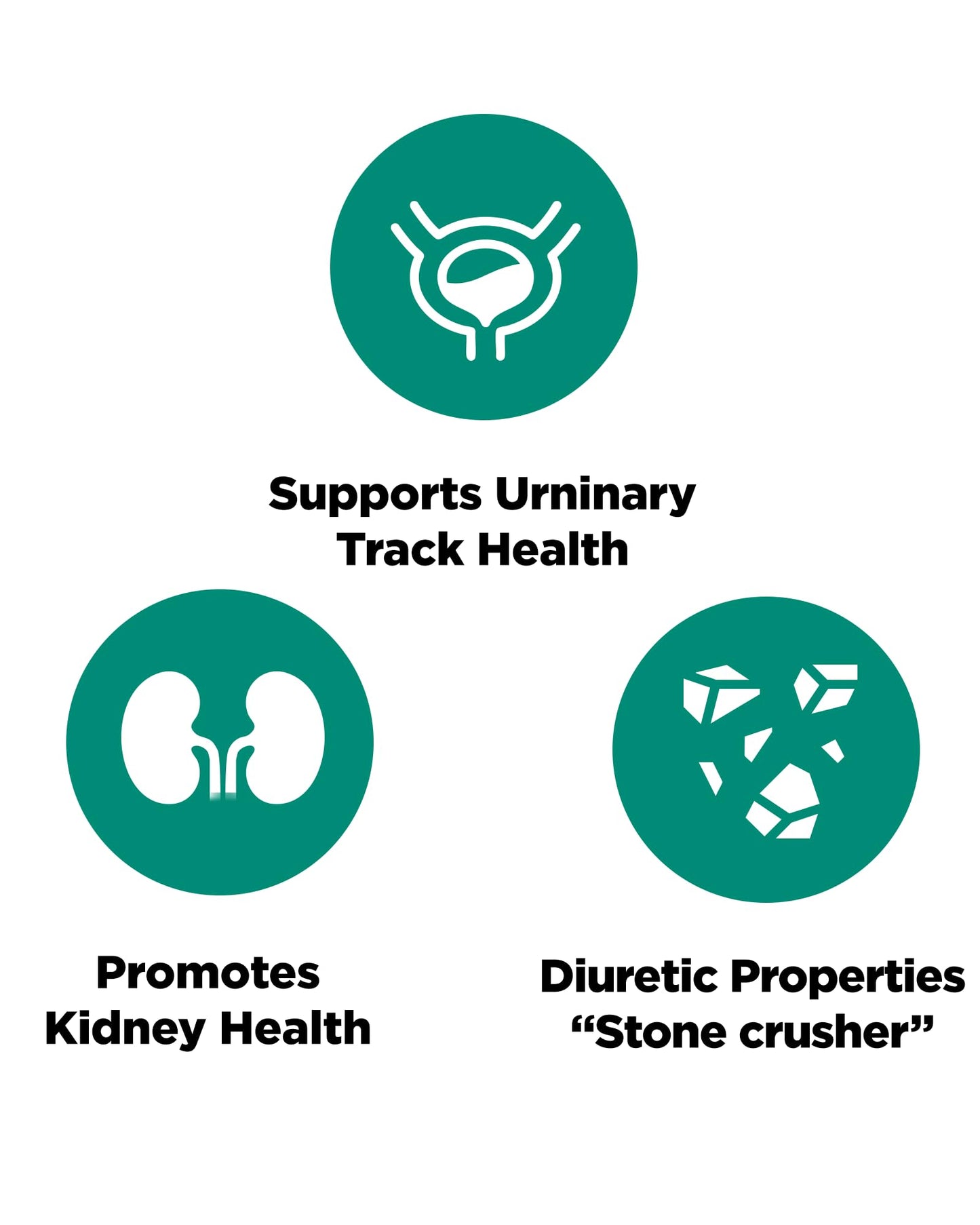Platinum Naturals Chanca Piedra Kidney Health Capsules 90 Count
