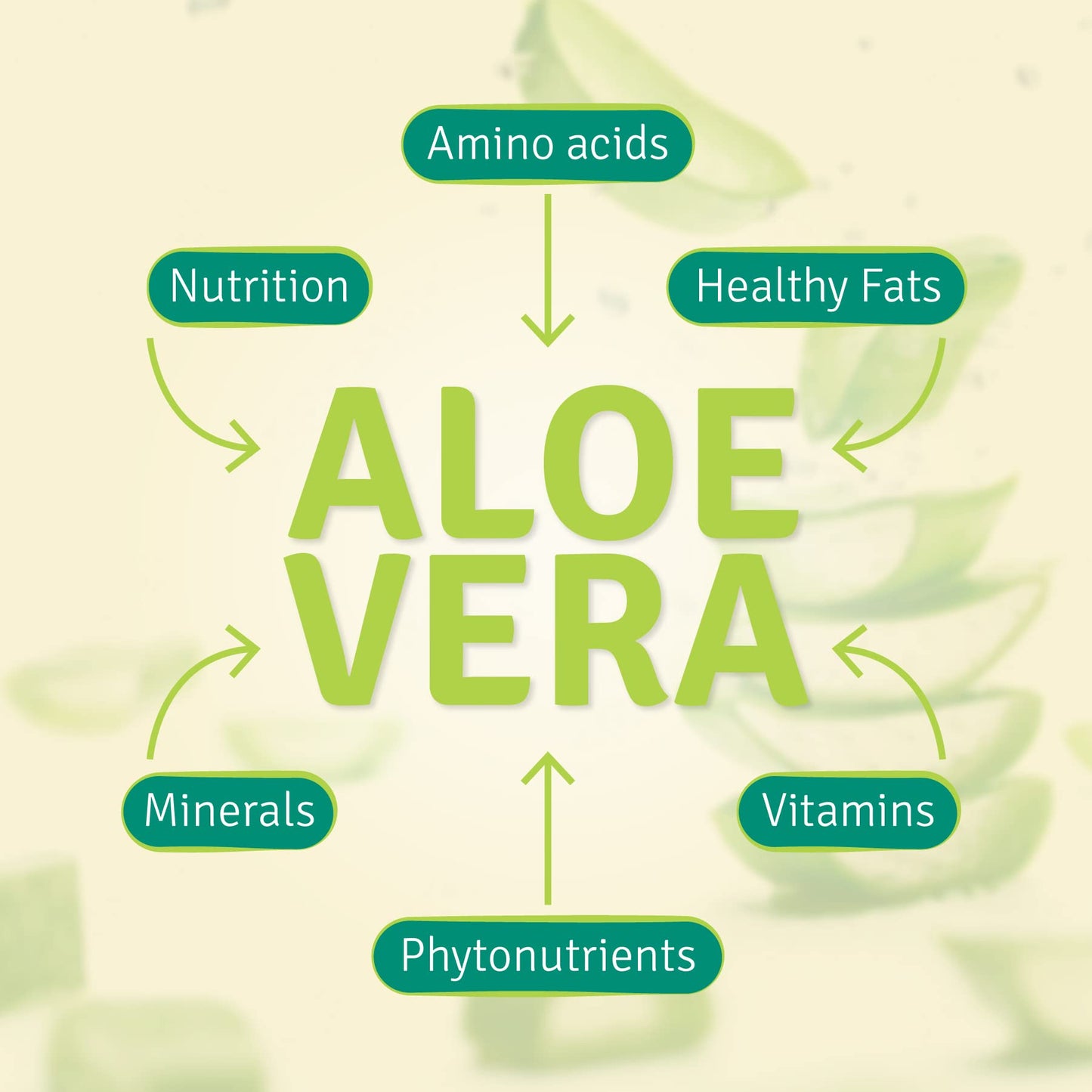 Aloe Life Aloe Gold Immune System Support and Healthy Herbal Bitter for Natural Digestive Aid, Energy and Body Wellness, Certified Organically Grown Whole Leaf Aloe Vera 90 Tablets