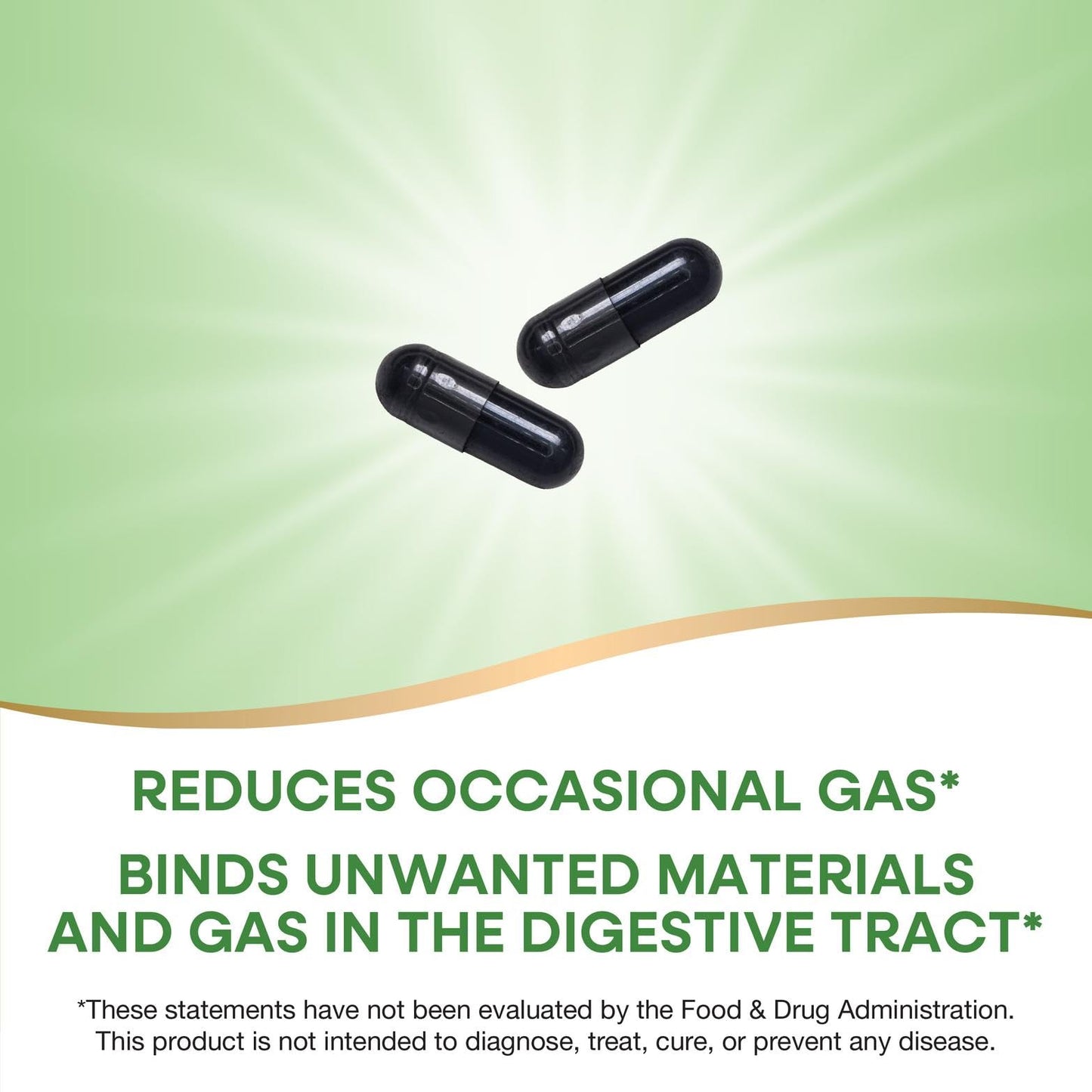 Nature's Way Activated Charcoal Supplement Capsules 100