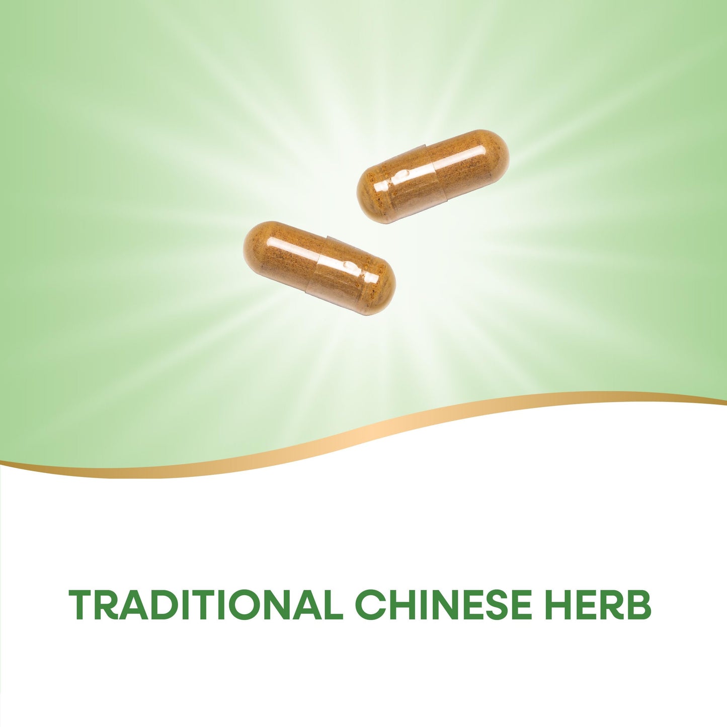 Nature's Way Fo-Ti Root Capsule, 100 Vegan Capsules