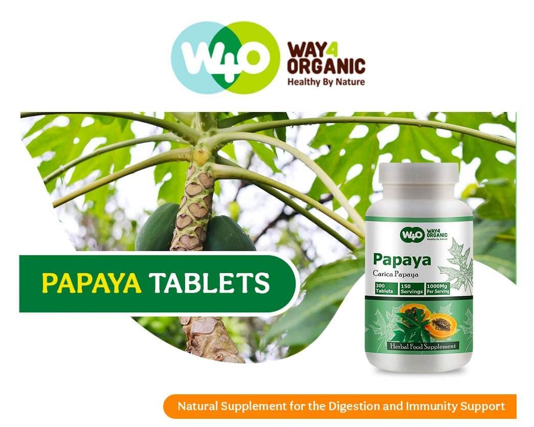 WAY 4 ORGANIC W4O Papaya Leaf Extract Tablet 1 Count