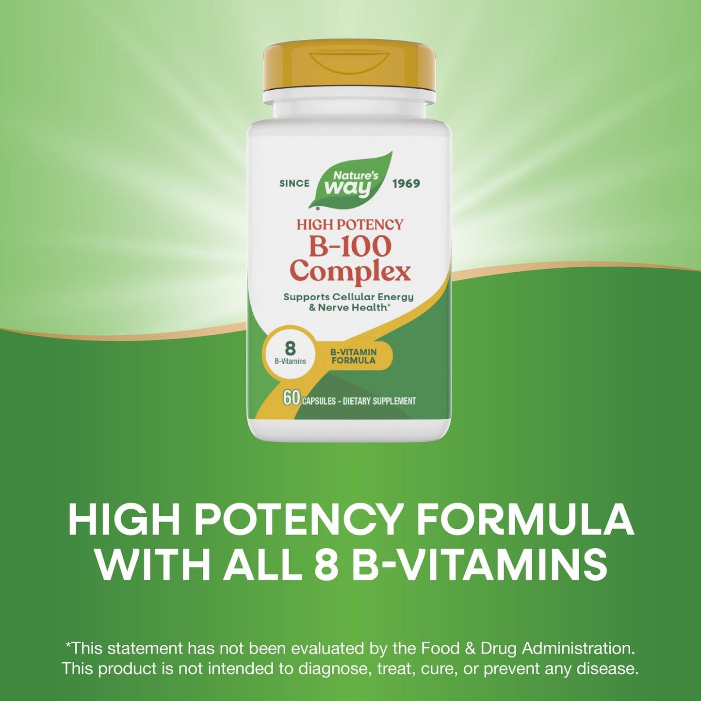 Nature's Way B-100 Complex Capsules 60