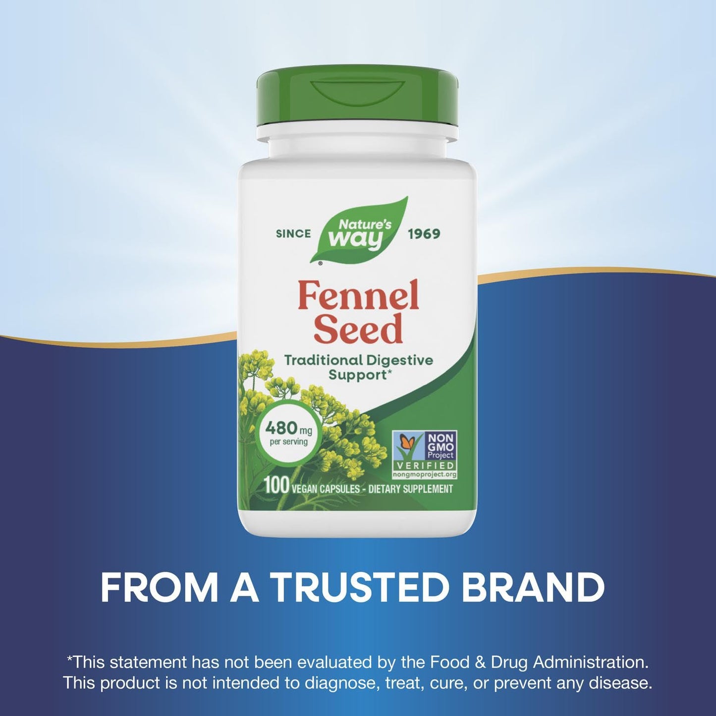 Nature's Way Fennel Seed Capsules, 100 Count